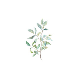 Watercolor Green Leaves Branch