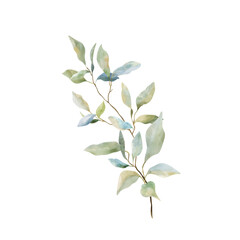 Watercolor Green Leaves Branch
