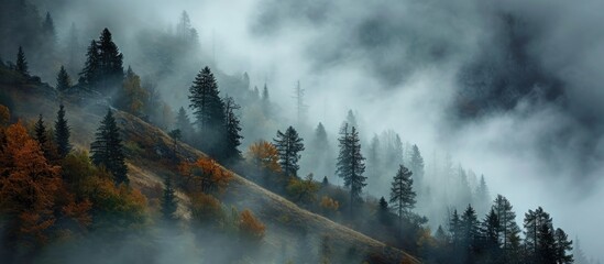 Stormy weather with misty trees on mountain slope.