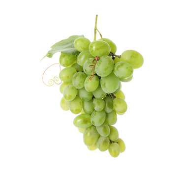 Fresh ripe grapes and leaf isolated on white