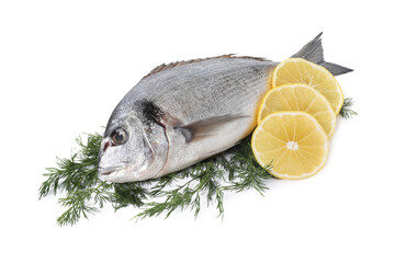 Raw dorado fish, dill and lemon slices isolated on white