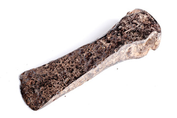 Prehistoric iron ax.Viking ax.Eastern Europe, Kievan Rus.Artifact, archaeological discoveries,...
