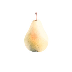 Watercolor pear illustration isolated on transparent background. Fruit concept for design and print