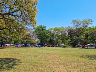 Beautiful open air square with green grass and trees. Bosque da Paz Square of Campo Grande city, MS, Brazil.