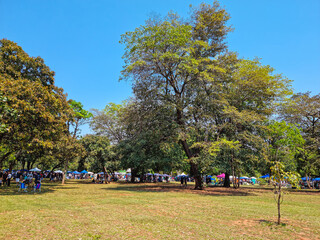 Fototapeta na wymiar Beautiful open air square with green grass and trees. Bosque da Paz Square of Campo Grande city, MS, Brazil.