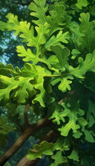 green branches, oak leaves