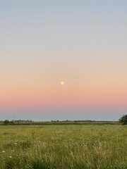 sunset over the field