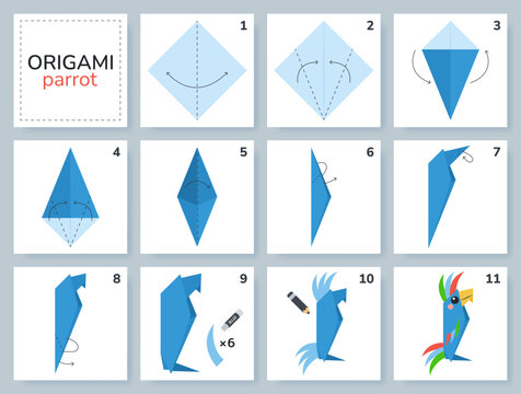 Macaw parrot origami scheme tutorial moving model. Origami for kids. Step by step how to make a cute origami bird. Vector illustration.