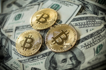 Dollars and bitcoin in different variations.