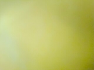 abstract lime green background