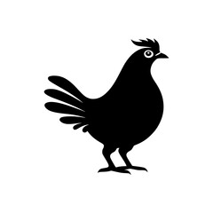 Fototapeta na wymiar silhouette of a pigeon