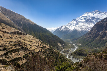 view from the mountains