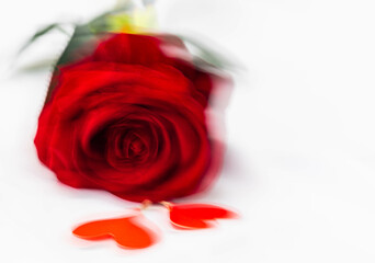 rosa rossa mossa ottenuta con il mosso creativo a san valentino