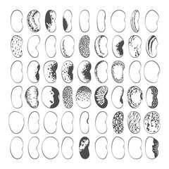 Set of black and white illustrations with green beans, kidney beans. Isolated vector objects on white background.