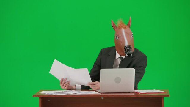 Man in business suit with horse head mask on studio green background. Businessman sitting at desk looking through documants and working at laptop. Heavy office work concept.