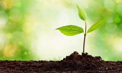 Save Planet Earth Day with Green Plant in soil