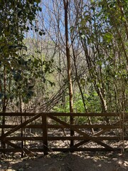 Fototapeta na wymiar wooden gate in the forest