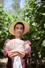 A Thai farmer man wearing a red shirt hold Thai banknote money at a farm.