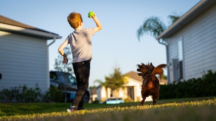 Boy Throwing Ball to Dog