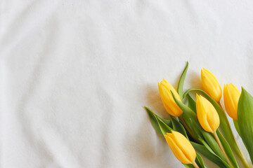 Gelbe Tulpen auf weißer Baumwolltischdecke, Hintergrund mit Tulpen, Untergrund mit Tulpen,...
