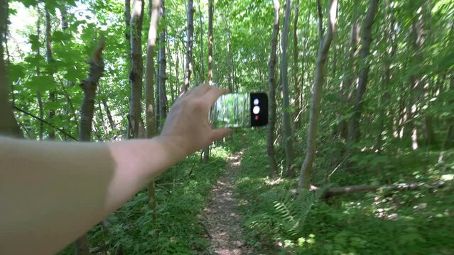 Tourist Capturing Photos and Recording Video of Beautiful Trees in the Forest in 4k slow motion 60fps