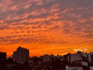 sunset over the city