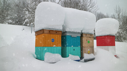 A bees hives in winter. A kot of snowy, winter season. © *Lara*