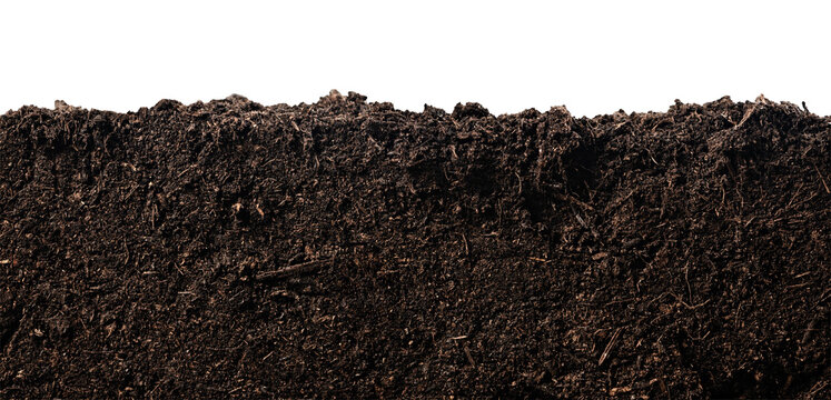 Soil or dirt section isolated on white background