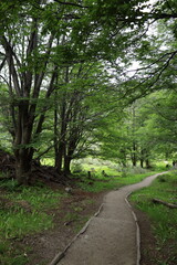 Gravel road on natural landscape