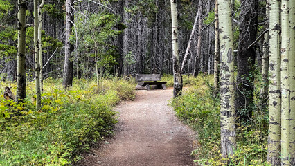 Walking Trail Around Swiftcurrent Lake of Many Glacier in Glacier National Park