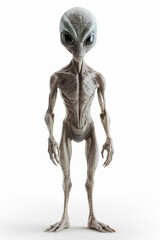 Fototapeta premium ETs - Extra Terrestrial - Martian