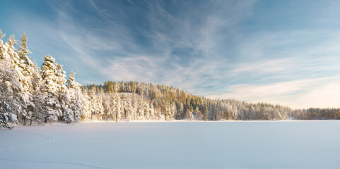 beautiful snowy winter landscape panorama with forest and sun. winter sunset in forest panoramic view. sun shines through snow covered trees, frozen lake