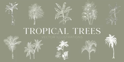 Zelfklevend Fotobehang Handdrawn tropical trees illustrations, jungle trees drawing, tree, palms, set, collection, island © michaelrayback
