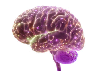 Brain Technology Synapses Isolated Transparent Background