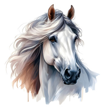 Horse. Head. Portrait. White Horse. Watercolor. Isolated illustration on a white background. Banner. Close-up. Generative AI