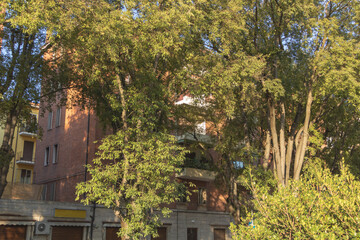 Some trees in front of a brick building in Italy
