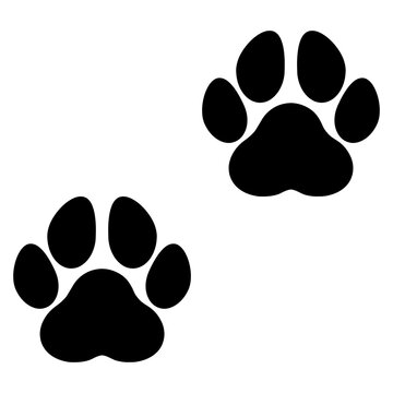 paw black silhouettes on white background with copy space