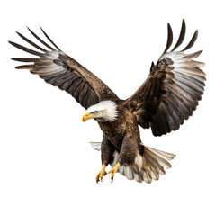 Obraz premium Majestic American Eagle in Flight - High-Resolution Illustration on Transparent Background