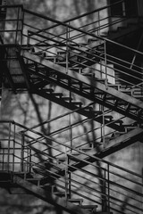 ladder on the roof