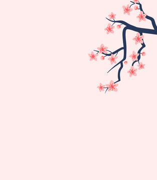 Cherry blossoms on a branch, pink flowers, springtime background. Elegant floral design, simplicity and nature concept vector illustration