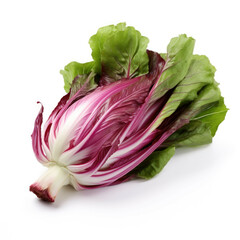 Obraz premium Radicchio isolated on white background