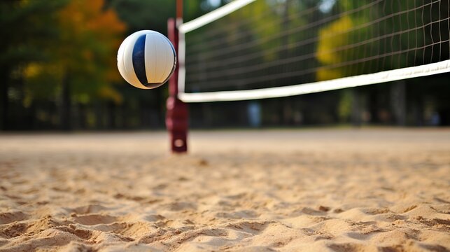Recreation area with volleyball net and sand court ready for play on a sunny day