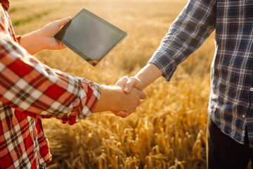 Handshake, joint work of farmers.Two farmers making agreement with handshake in  wheat field. The...