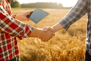 Handshake, joint work of farmers.Two farmers making agreement with handshake in  wheat field. The...