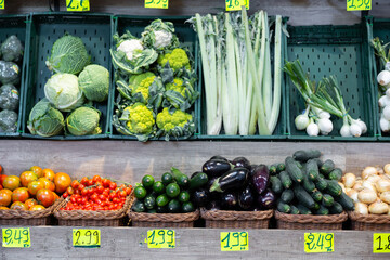 Large assortment of freshly harvested organic vegetables showcased on display in supermarket
