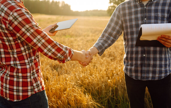 Handshake, joint work of farmers.Two farmers making agreement with handshake in  wheat field. The conclusion of the deal, agreed.