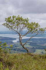 Fototapeta na wymiar vista panorâmica do lago de furnas, na cidade de Boa Esperança, Estado de Minas Gerais, Brasil