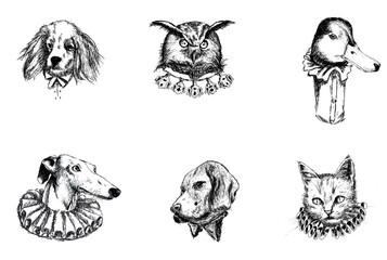 Ilustración de animales
