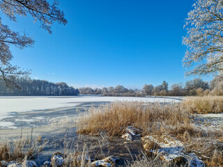 A snow covered frozen lake with icy reeds in the sunshine in the very north of Germany.