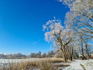 A snow covered frozen lake with icy reeds in the sunshine in the very north of Germany.
